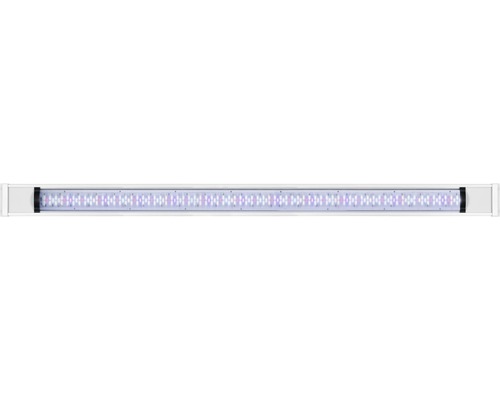 LED-Aquarienleuchte