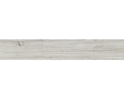 Feinsteinzeug Sockelfliese Count Moon 10x60 cm
