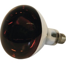 Infrarotlampe für Wärme