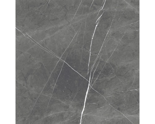 Feinsteinzeug Bodenfliese Ciana 60,0x60,0 cm grau glänzend rektifiziert