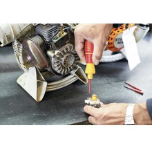 Reparatur einer Motorsense mit Schraubendreher
