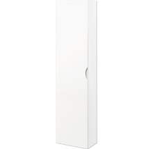 Weißer Badezimmerschrank mit Tür