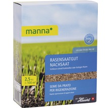 Manna Rasensaatgut Nachsaat 2,5 Kilogramm Packung