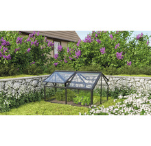 Gewächshaus im Garten mit geöffneten Fenstern zur Pflanzenzucht