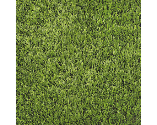 Kunstrasen Foresta mit Drainage grün 400 cm breit (Meterware)
