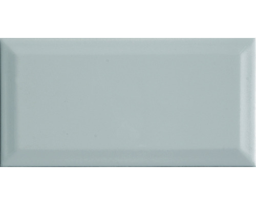 Steinzeug Wandfliese Metro 10,0x20,0 cm grau glänzend