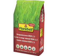 FloraSelf Strapazierrasen RSM 2.3, 10 kg Packung für circa 500 Quadratmeter
