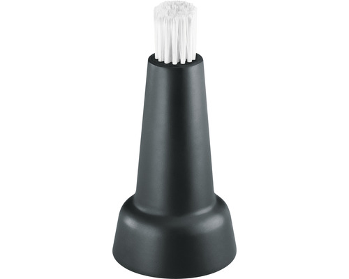 Reinigungsbürste mit Kunststoffgriff und Borsten