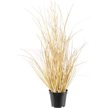 Kunstgras Carex im Topf H 46 cm natur