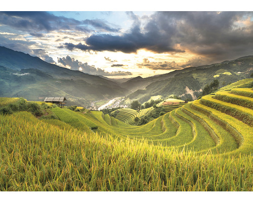 Landschaft mit Reisterrassen und Bergen im Hintergrund