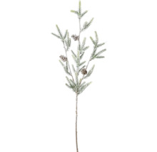 Dekorativer Tannenzweig mit Zapfen für die Weihnachtszeit