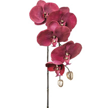 Künstliche Orchidee mit Blüten