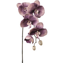 Dekorative Orchidee aus Kunststoff