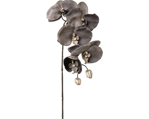 Kunstblume Schmetterlings-Orchidee Höhe: 66 cm anthrazit