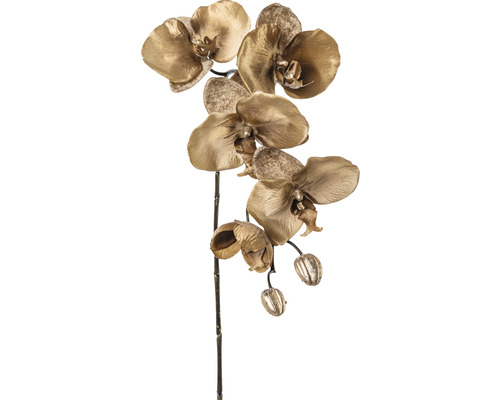 Kunstblume Schmetterlings-Orchidee Höhe: 66 cm braun
