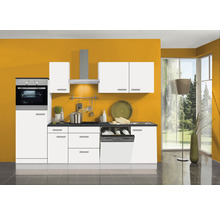 Moderne Küche mit weißen Schränken, Geschirrspüler und Backofen