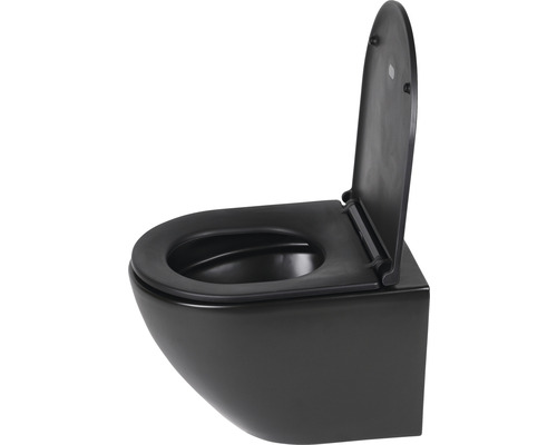 Wandtiefspülklosett-Set Differnz spülrandlos Abgang senkrecht schwarz mit WC-Sitz Wand-Tiefspül-WC mit offenem Spülrand und hochgeklapptem WC-Sitz