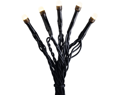 LED-Lichterkette mit warmweißen Lichtern und schwarzem Kabel