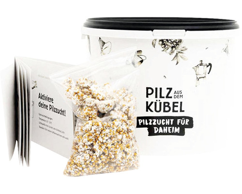 Pilzzuchtset für zu Hause mit Eimer, Substrat und Anleitung