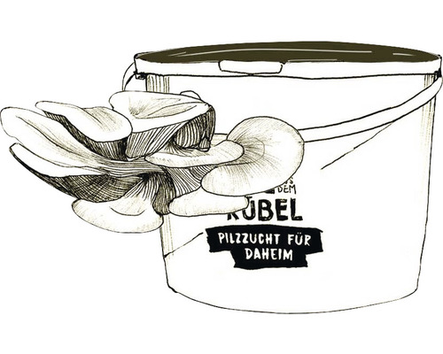Illustration eines Pilzzuchtsets im Eimer für den Anbau zu Hause