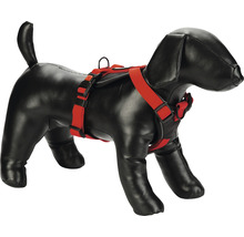 Rotes Hundegeschirr am Hundemodell