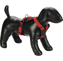 Hundegeschirr an einer Hundeattrappe