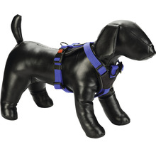 Hundegeschirr mit blauen Gurten an einer Hundepuppe