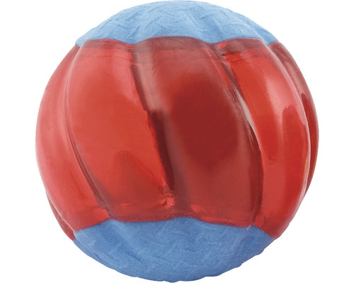 Spielball für Haustiere