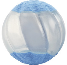 Hundespielzeug Ball