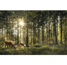 Waldszene mit Hirschen im Sonnenlicht