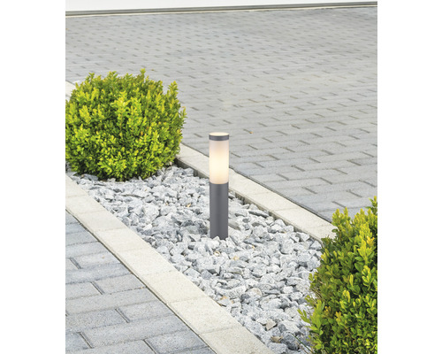 Gartenweg mit Gartenleuchte