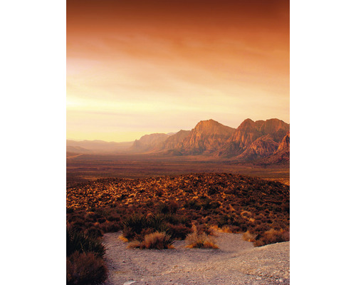 Fototapete Vlies 32548 Dune Wüste orange braun 4-tlg. 212 x 270 cm