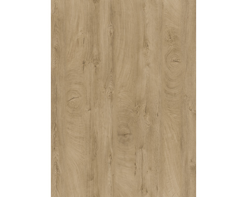 Küchenrückwand Eiche Evoke Knot / Endgrain 4100x640x15 mm Dekorplatte mit Holzoptik