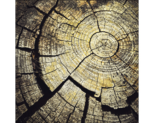 Glasbild Old Wood I 30x30 cm