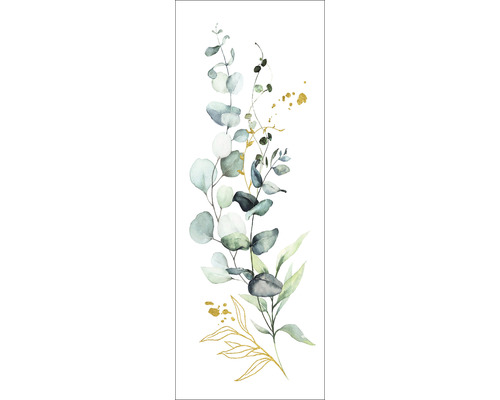 Leinwandbild Eucalyptusarrangement 27x77 cm