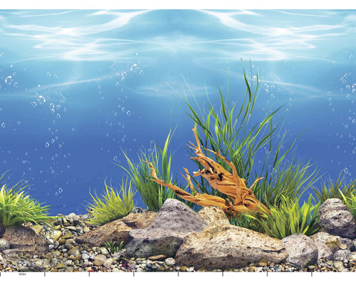 Aquarienhintergrund mit Unterwassermotiven und Pflanzen