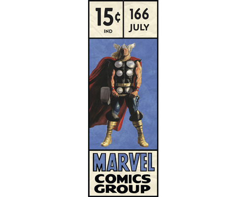 Fototapete Vlies IADX2-067 Into Adventure Thor Retro Comic Box 2-tlg. 100 x 280 cm Marvel Comics Thor Cover Replik