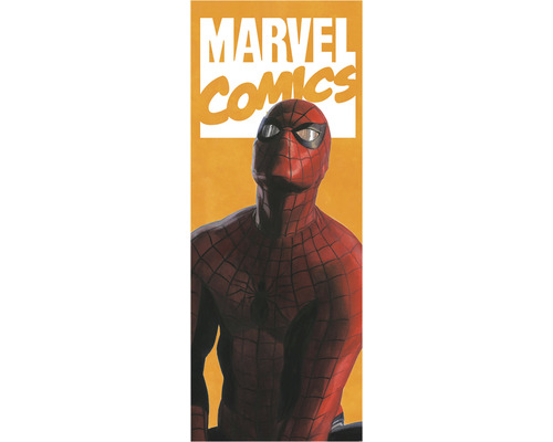 Fototapete Vlies IADX2-070 Into Adventure Spider-Man Comic 2-tlg. 100 x 250 cm Marvel Comics Spider-Man Abbildung