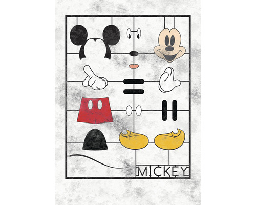 Fototapete Vlies IADX4-053 Into Adventure Disney Mickey Kit 4-tlg. 200 x 280 cm Grafische Darstellung der einzelnen Elemente von Micky Maus