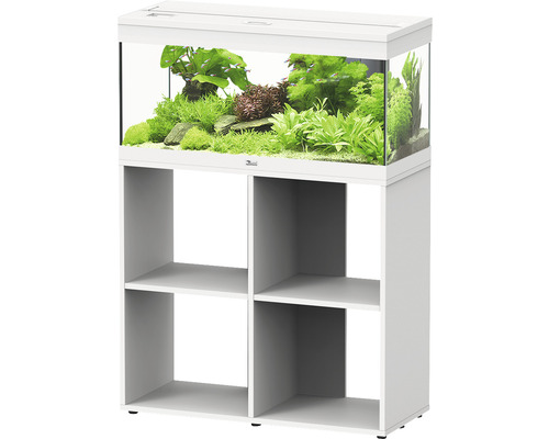 Weißes Aquarium mit Unterschrank und Pflanzen