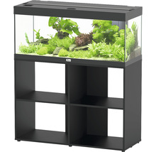 Aquarium mit Unterschrank und Pflanzen
