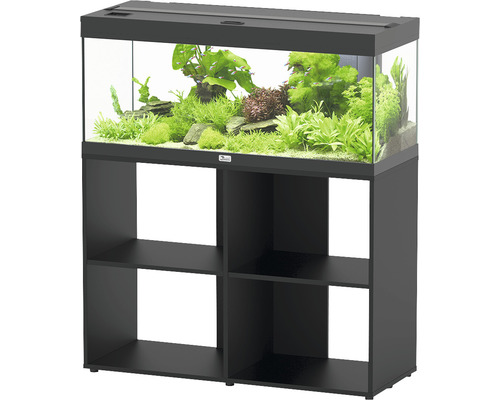 Aquarium mit Unterschrank und Pflanzen
