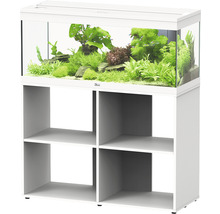 Aquarium mit Pflanzen und Fischen auf einem Unterschrank mit Regalfächern