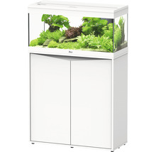 Weißes Aquarium mit Unterschrank und Pflanzen