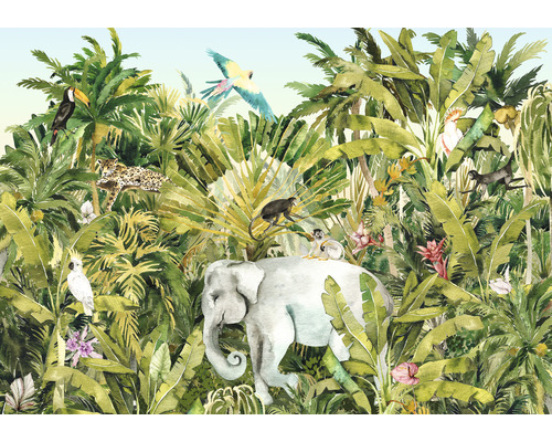 Fototapete Vlies IAX8-0002 Into Adventure Jungle Expedition 8-tlg. 400 x 280 cm Dschungeltapete mit Elefant, Affen, Leopard, Papagei und Tukan zwischen tropischen Pflanzen