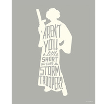 Illustration von Prinzessin Leia mit Gewehr und Zitat aus Star Wars