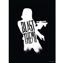 Poster Star Wars Silhouette Quotes Stormtrooper 30x40 cm
