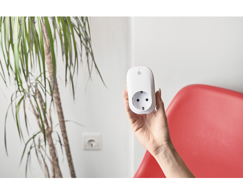 Eine Hand hält eine intelligente Steckdose vor einer Zimmerpflanze und einem Stuhl.