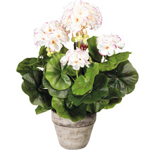 Kunstpflanze Geranienbusch im Topf Höhe: 34 cm weiß/rosa