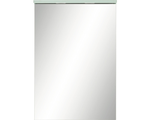 LED-Spiegelschrank Möbelpartner Spot 1-türig 50,4x23,7x72,3 cm mintgrün